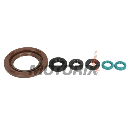 Sada gufer motoru -ATHENA- Yamaha TDM 900 2002-2010