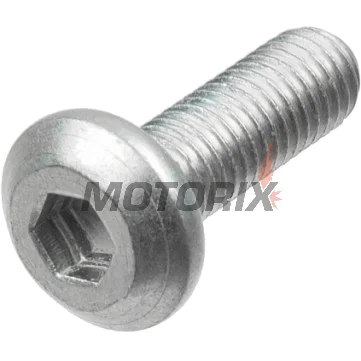 Šrouby brzdového kotouče -TRW- MSS121-6, M8x1.25mm, 30mm, 6ks