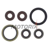 Kompletní sada gufer motoru -ATHENA- Sherco SE 450 2015-2022