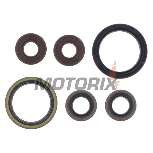 Kompletní sada gufer motoru -ATHENA- Sherco SE 450 2015-2022