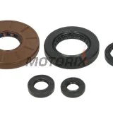 Sada gufer motoru -WINDEROSA- Honda TRX 500 2005-2011