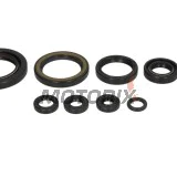 Sada gufer motoru -WINDEROSA- Honda TRX 450 2006-2014