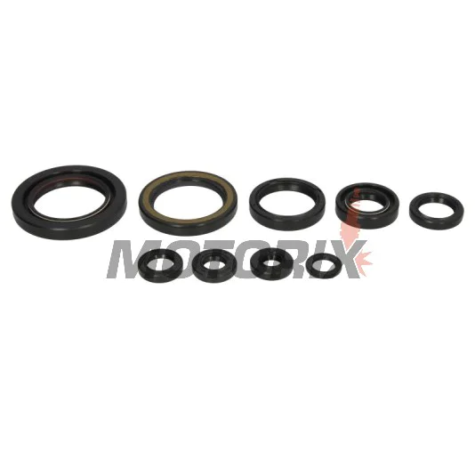 Sada gufer motoru -WINDEROSA- Honda TRX 450 2006-2014