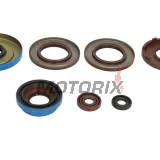 Sada gufer motoru -WINDEROSA- Polaris ACE 325 2014-2016, Polaris Hawkeye 325 2015, Polaris Ranger 325 2015-2016, Polaris Sportsman 325 2015