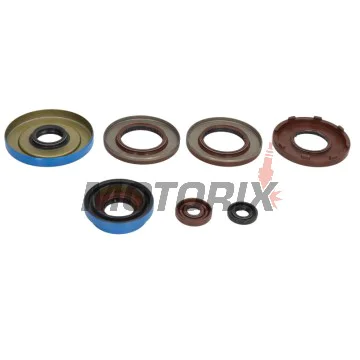 Sada gufer motoru -WINDEROSA- Polaris ACE 325 2014-2016, Polaris Hawkeye 325 2015, Polaris Ranger 325 2015-2016, Polaris Sportsman 325 2015