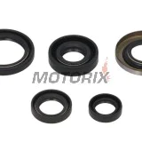 Sada gufer motoru -WINDEROSA- Honda TRX 400 1999-2004