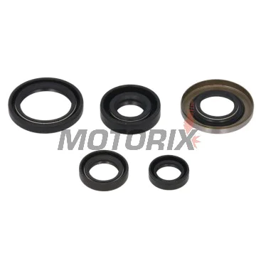 Sada gufer motoru -WINDEROSA- Honda TRX 400 1999-2004