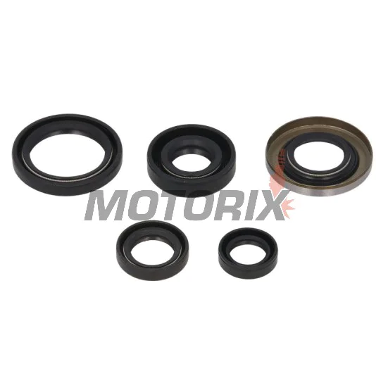 Sada gufer motoru -WINDEROSA- Honda TRX 400 1999-2004