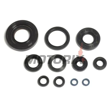 Kompletní sada gufer motoru -ATHENA- Fantic XX 250 2022-2023, Yamaha YZ 250 1992/2001-2022