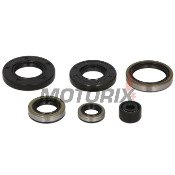 Sada gufer motoru -WINDEROSA- Kawasaki KX 250 1983-1984, Kawasaki KXT 250 1984-1985