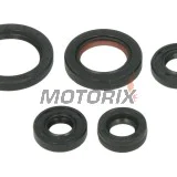 Sada gufer motoru -WINDEROSA- Yamaha YFM 50 2004-2008