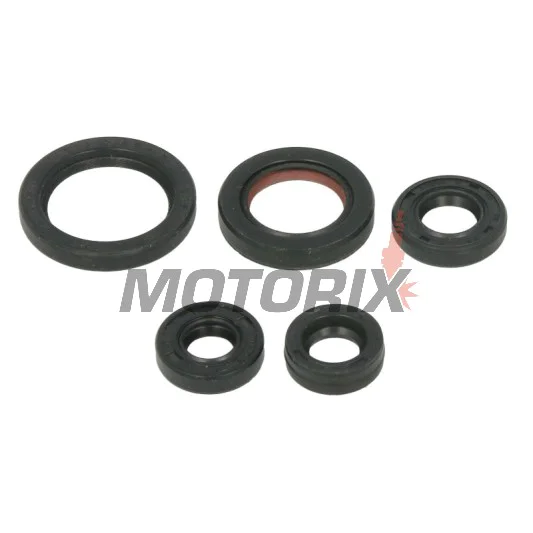 Sada gufer motoru -WINDEROSA- Yamaha YFM 50 2004-2008