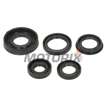 Sada gufer motoru -WINDEROSA- Polaris Predator 90 2005-2006, Polaris Sportsman 90 2005-2006