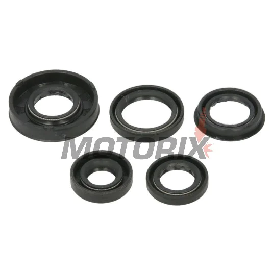 Sada gufer motoru -WINDEROSA- Polaris Predator 90 2005-2006, Polaris Sportsman 90 2005-2006