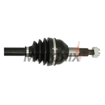 Poloosa -ALL BALLS- Can-Am Outlander 570 2019, Outlander 650/850/1000 2019-2022, Renegade 570/850 2019-2022, Renegade 650/1000 2019