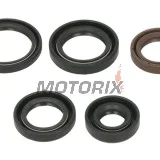 Sada gufer motoru -WINDEROSA- Polaris Phoenix 200 2005-2024, Polaris RZR 170 2009-2020, Polaris Sawtooth 200 2006-2007