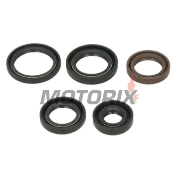 Sada gufer motoru -WINDEROSA- Polaris Phoenix 200 2005-2024, Polaris RZR 170 2009-2020, Polaris Sawtooth 200 2006-2007