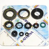 Kompletní sada gufer motoru -ATHENA- Kawasaki KX 250 1993-2004
