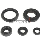 Sada gufer motoru -ATHENA- Yamaha YZ 250 1992/1998-2000