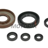 Sada gufer motoru -WINDEROSA- Honda TRX 500 2005-2011