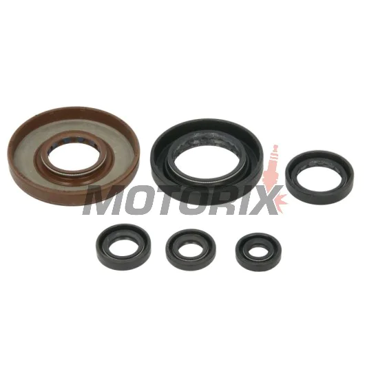 Sada gufer motoru -WINDEROSA- Honda TRX 500 2005-2011