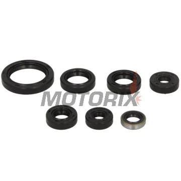 Sada gufer motoru -WINDEROSA- Kawasaki KLR 250 1984-2005
